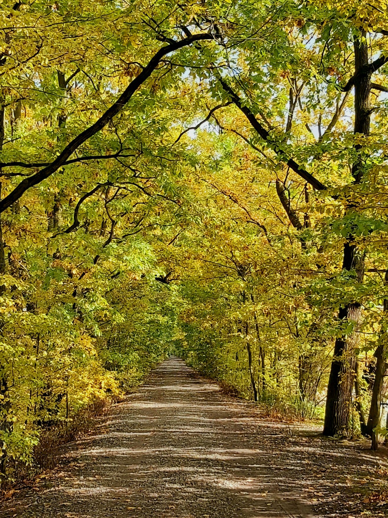 Nature reserve Łężczok